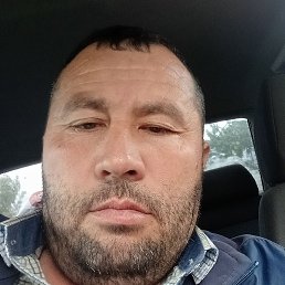 �����, ������, 43 ����