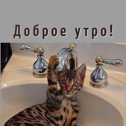 M, ������, 42 ����