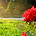 ���� Evi, ������ - ��������� 27 ������� 2023 � ������ ���� ����������
