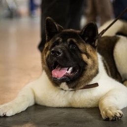 �������, ������, 21 ���