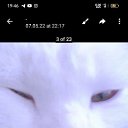  , , 72  -  8  2023