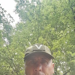 ����, ����, 46 ���