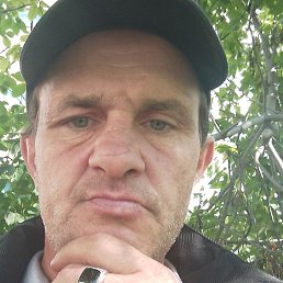 ����, ������, 49 ���