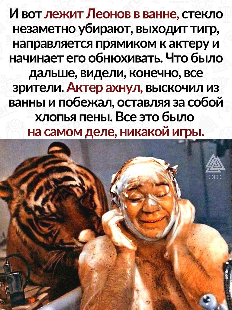           ,  ,    ... - 5