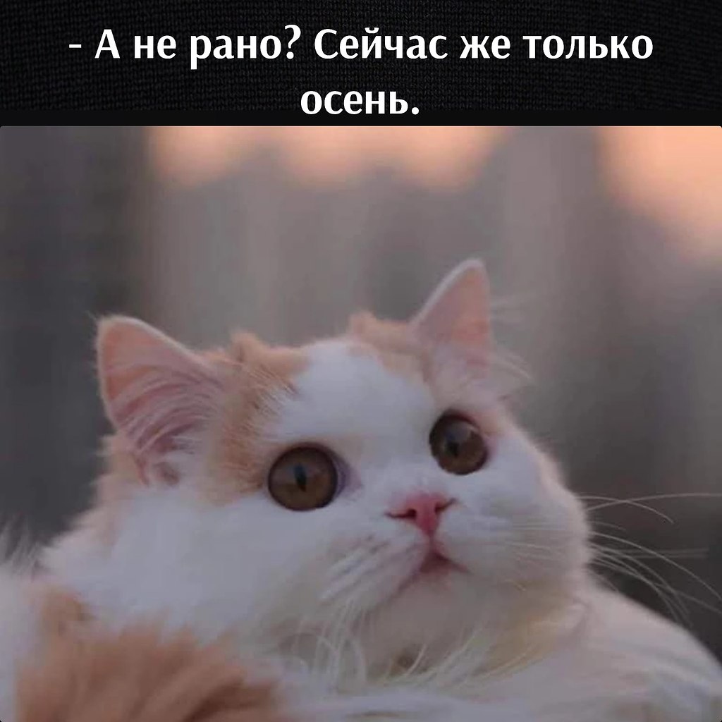       - 24  2023  13:16 - 3