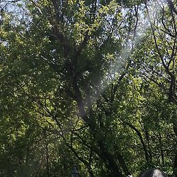 ������, �����, 44 ����