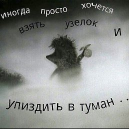 Serge, ������, 47 ���