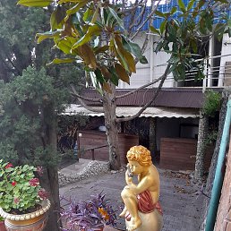 �����!, ����, 54 ����