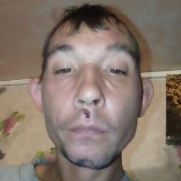 �������, ������, 37 ���