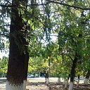 ���� ���������, ������-��-����, 84 ���� - ��������� 2 ����� 2023