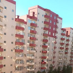 �����, ���������, 37 ���