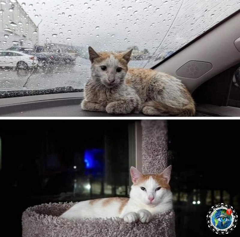 a e oe ec ooe  pa pa!