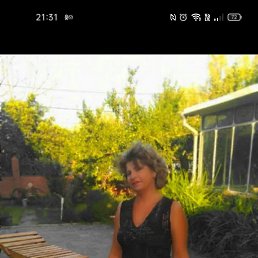 ���� ������, ���������, 56 ��� - ��������� 14 ��� 2023