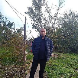 �������, �������, 39 ���