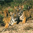 ���� �����, ������, 41 ��� - ��������� 22 �������� 2023 � ������ ���� ����������