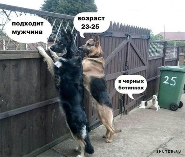  - 11  2023  21:13