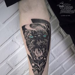 ���� ����, ���������, 33 ���� - ��������� 1 ���� 2023