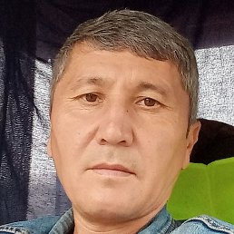 ��������, ������, 46 ���