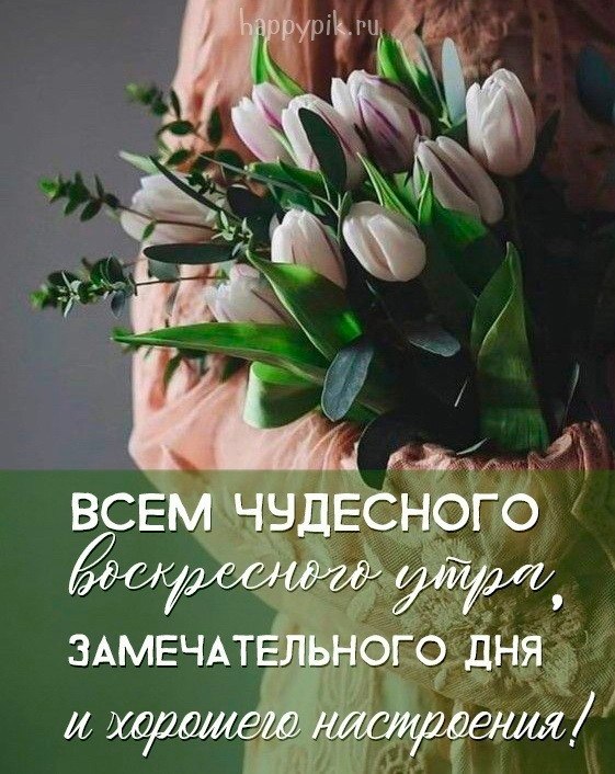 ���� - 30 ������ 2023 � 07:59