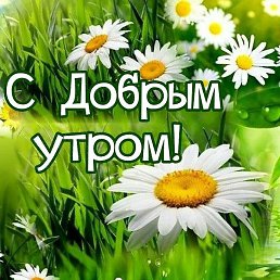 ���, �����, 47 ���