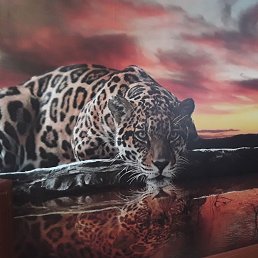 ���� ����, ������, 50 ��� - ��������� 20 ������ 2023