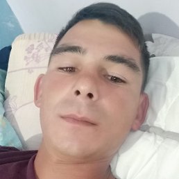 Bob, �������, 40 ���