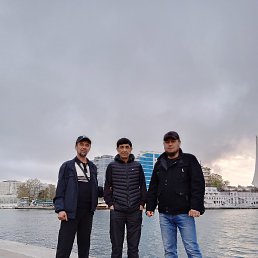 ����, �����������, 44 ����