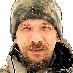 �������, ������, 41 ���