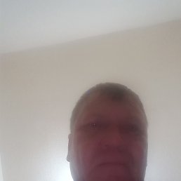 �����, ������, 38 ���