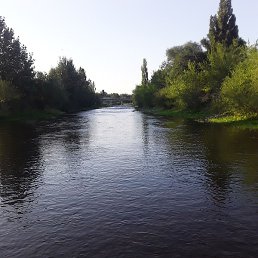 �����, ������, 37 ���