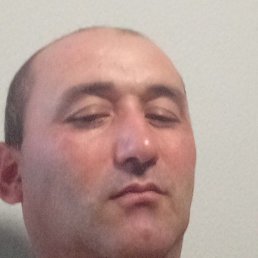 ����, ������, 40 ���