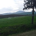 ���� Vitik, �������, 57 ��� - ��������� 2 ���� 2023 � ������ ���� ����������