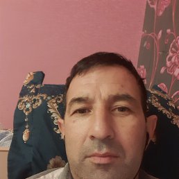 , 41 , 