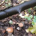 ���� ����������, �����, 58 ��� - ��������� 21 ������� 2023 � ������ ���� ����������