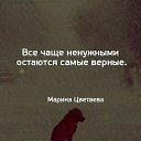  , , 38  -  28  2023    .......