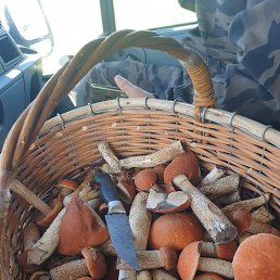 ���� ��������, �����, 52 ���� - ��������� 21 ������� 2023