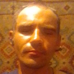 ������, �������, 36 ���