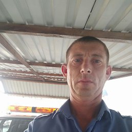 �����, ������, 46 ���