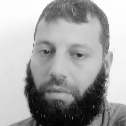 ����, �����-���������, 40 ���