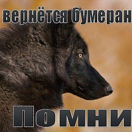 ������, ������, 51 ���