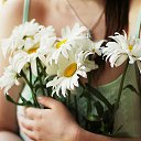 ���� �������, ������, 44 ���� - ��������� 17 ������ 2023