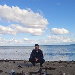 ����, ���������, 41 ���