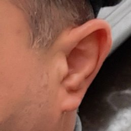 Terlan, ����, 46 ���