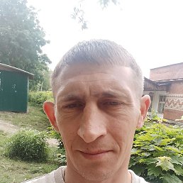 �������, �����������, 40 ���