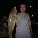 ���� ����, ���������, 62 ���� - ��������� 2 ��� 2023 � ������ ���� ����������