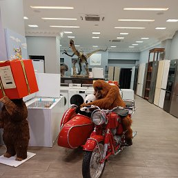 ���� ����, ������, 44 ���� - ��������� 12 ������� 2023