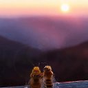 ���� ���������, ��������, 59 ��� - ��������� 26 ���� 2023 � ������ ������ ��������