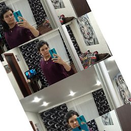 ��������, ������, 43 ����