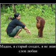 �����, 52 ����, ������������