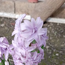 ���� ������, ����, 47 ��� - ��������� 13 ���� 2023